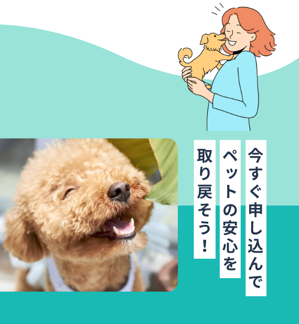 今すぐ申し込んでペットの安心を取り戻そう！